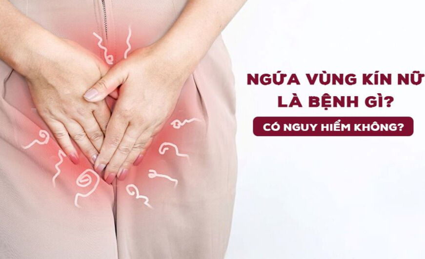 Hình ảnh ngứa vùng kín Hình ảnh ngứa vùng kín