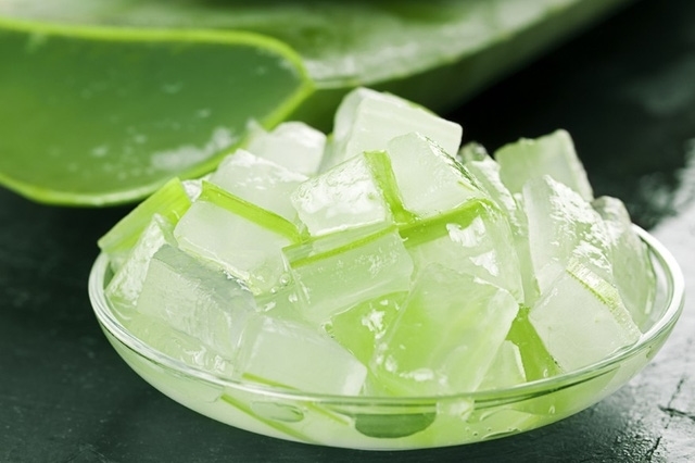 có thể sử dụng nha đam để trị ngứa vùng kín có thể sử dụng nha đam để trị ngứa vùng kín