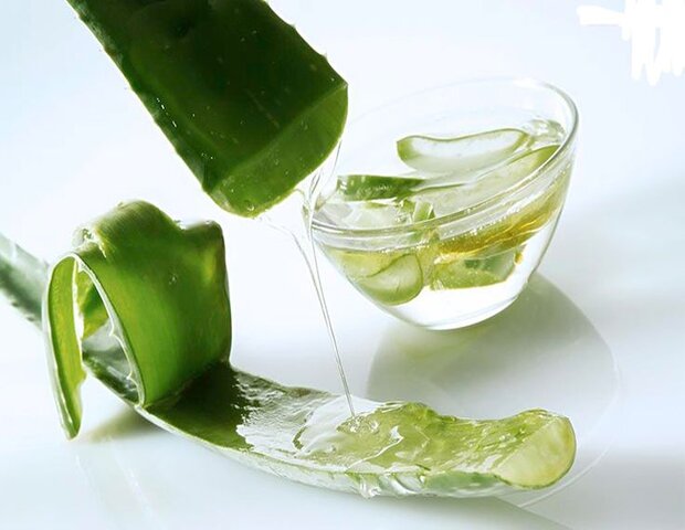 uống một cốc nước ép nha đam mỗi ngày giúp điều hòa kinh nguyệt uống một cốc nước ép nha đam mỗi ngày giúp điều hòa kinh nguyệt