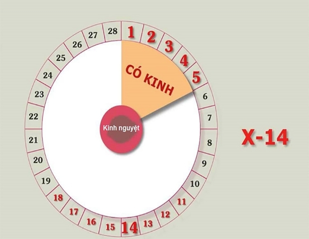 chu kỳ kinh nguyệt bình thường dao động khoảng 28 ngày chu kỳ kinh nguyệt bình thường dao động khoảng 28 ngày