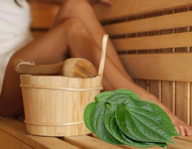 xông hơi với lá trầu không là một mẹo dân gian giúp vùng âm đạo se khít xông hơi với lá trầu không là một mẹo dân gian giúp vùng âm đạo se khít