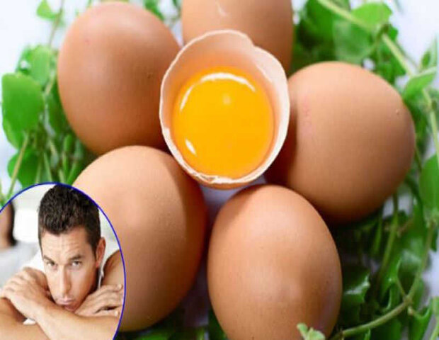 trứng gà có nhiều lợi ích với quá trình điều trị xuất tinh sớm cho nam giới trứng gà có nhiều lợi ích với quá trình điều trị xuất tinh sớm cho nam giới